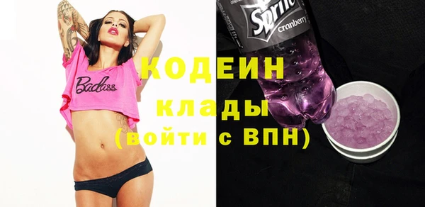 хмурый Новозыбков
