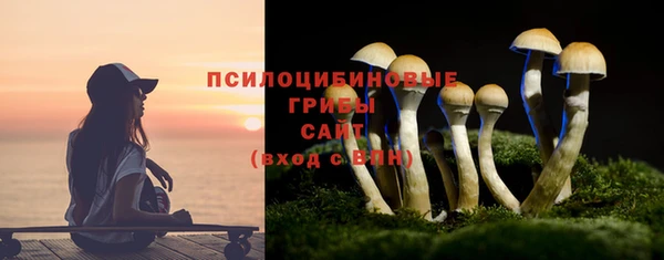 сатива Нефтекумск