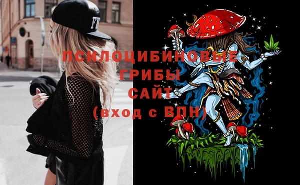 сатива Нефтекумск