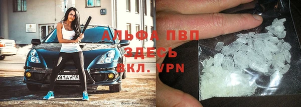 сатива Нефтекумск