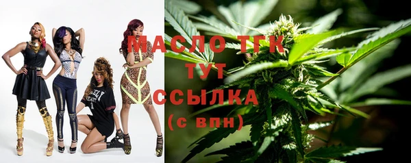 хмурый Новозыбков