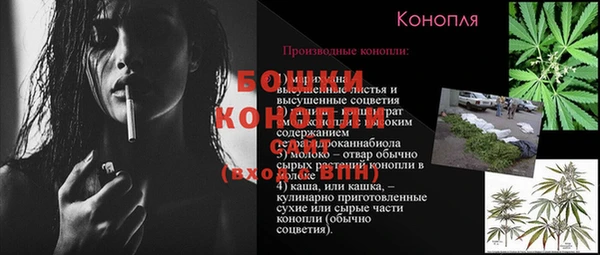 сатива Нефтекумск